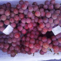 fresh red globe grapes Chinese red grapes red globe grape